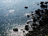 (101)  Aci Castello.jpg